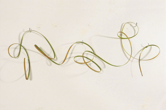 編號(hào)：DSC03011   尺寸：97cm×180cm